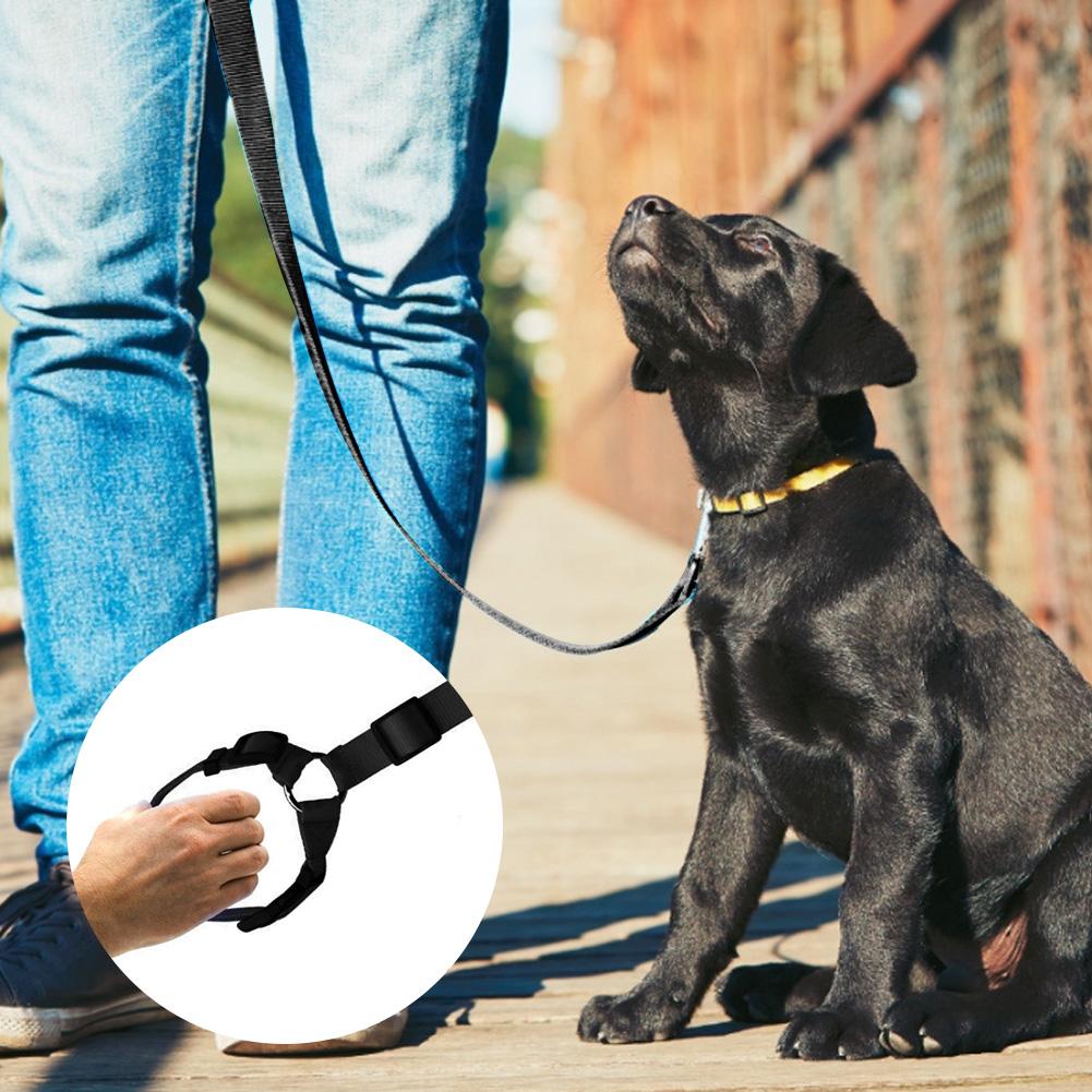 Adjustable Cat and Dog Seat Belt you can also used as Car dog Seat Belt