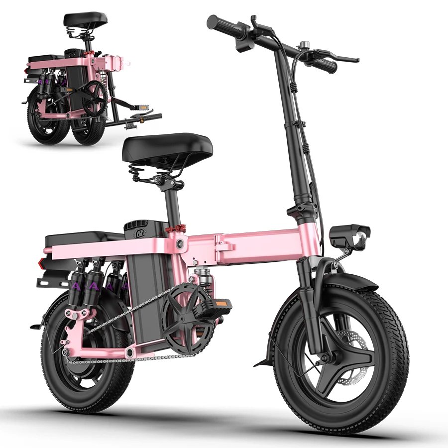 Folding Electric Bicycle TOOFLY GS5 500W Peak Motor 48V15AH Battery City Riding Electric Bike Adult Commuter Speed 32Km/h E-bike