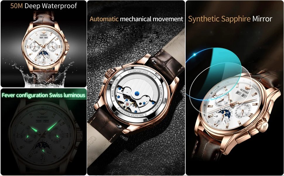 OUPINKE Men's Watches Luxury Automatic Mechanical Wirstwatch Moon Phase Sapphire Multifunctional Watch for Man Leather Bracelet