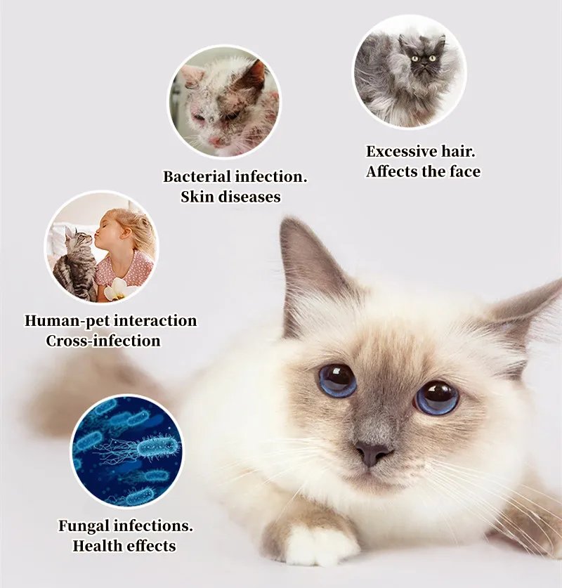 Cat Comb Dog Hair Remover Brush