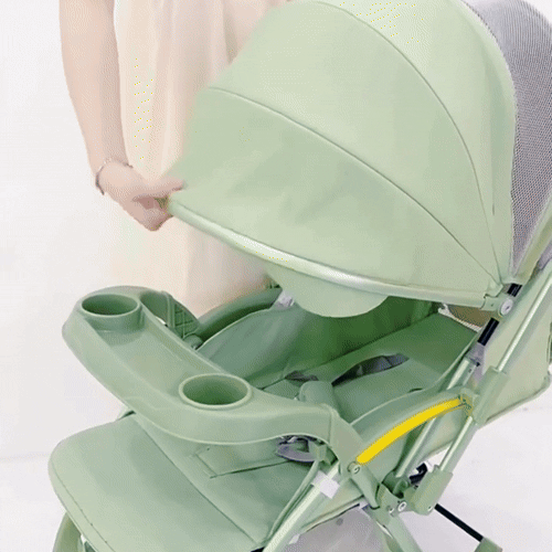 Bi-directional High Landscape Baby Stroller