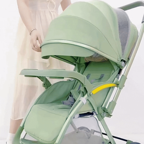 Bi-directional High Landscape Baby Stroller